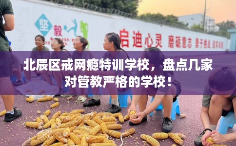 北辰区戒网瘾特训学校,盘点几家对管教严格的学校! 北辰区戒网瘾特训学校,盘点几家对管教严格的学校!