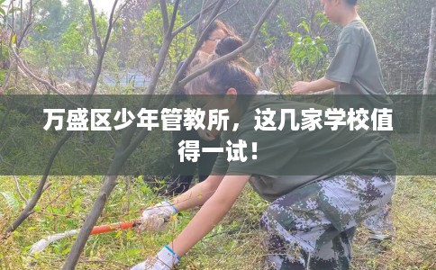 万盛区少年管教所，这几家学校值得一试！