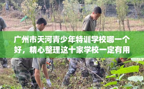 广州市天河青少年特训学校哪一个好,精心整理这十家学校一定有用! 广州市天河青少年特训学校哪一个好,精心整理这十家学校一定有用!