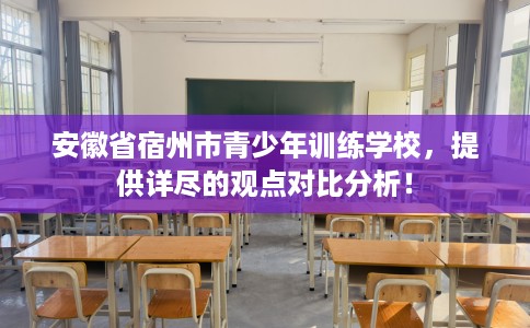安徽省宿州市青少年训练学校，提供详尽的观点对比分析！
