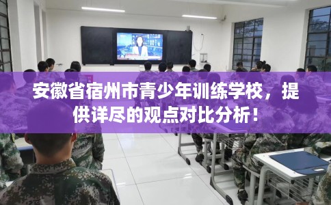 安徽省宿州市青少年训练学校，提供详尽的观点对比分析！