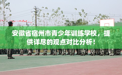安徽省宿州市青少年训练学校，提供详尽的观点对比分析！