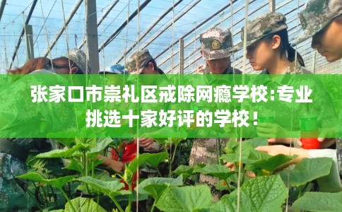 张家口市崇礼区戒除网瘾学校:专业挑选十家好评的学校！