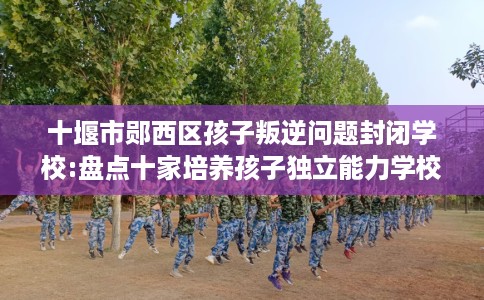 十堰市郧西区孩子叛逆问题封闭学校:盘点十家培养孩子独立能力学校! 十堰市郧西区孩子叛逆问题封闭学校:盘点十家培养孩子独立能力学校!