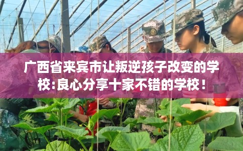 广西省来宾市让叛逆孩子改变的学校:良心分享十家不错的学校! 广西省来宾市让叛逆孩子改变的学校:良心分享十家不错的学校!