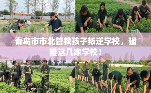 青岛市市北管教孩子叛逆学校，强推这几家学校！