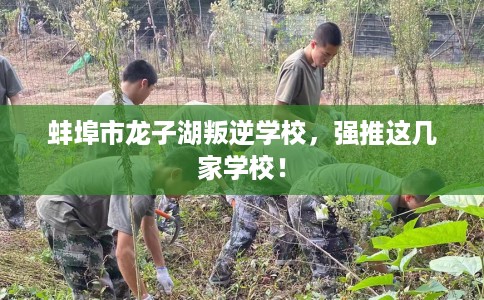 蚌埠市龙子湖叛逆学校，强推这几家学校！
