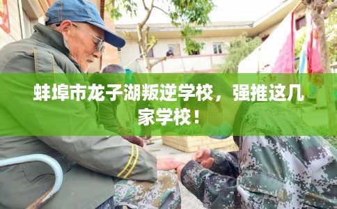 蚌埠市龙子湖叛逆学校，强推这几家学校！