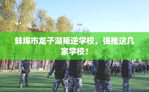 蚌埠市龙子湖叛逆学校，强推这几家学校！