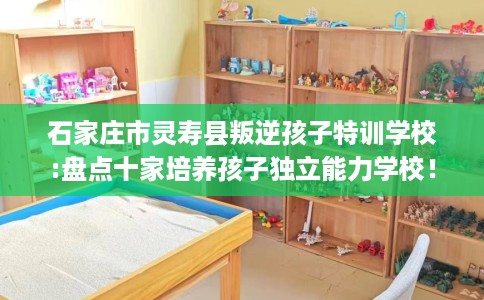 石家庄市灵寿县叛逆孩子特训学校:盘点十家培养孩子独立能力学校! 石家庄市灵寿县叛逆孩子特训学校:盘点十家培养孩子独立能力学校!