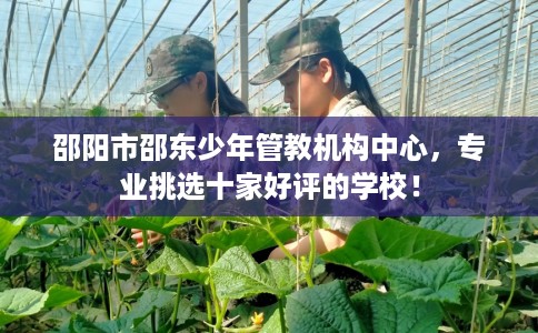 邵阳市邵东少年管教机构中心，专业挑选十家好评的学校！
