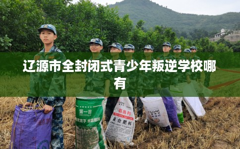 辽源市全封闭式青少年叛逆学校哪有