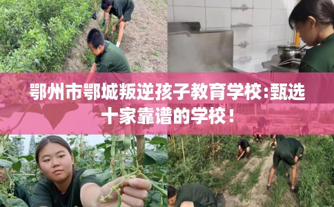 鄂州市鄂城叛逆孩子教育学校:甄选十家靠谱的学校! 鄂州市鄂城叛逆孩子教育学校:甄选十家靠谱的学校!