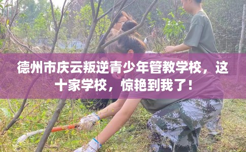 德州市庆云叛逆青少年管教学校,这十家学校,惊艳到我了! 德州市庆云叛逆青少年管教学校,这十家学校,惊艳到我了!