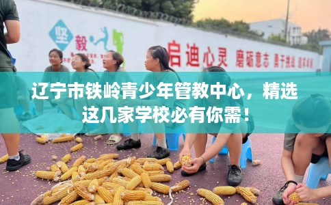 辽宁市铁岭青少年管教中心,精选这几家学校必有你需! 辽宁市铁岭青少年管教中心,精选这几家学校必有你需!