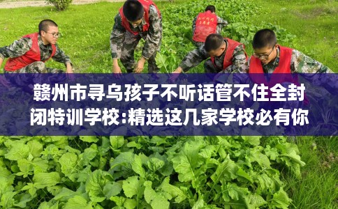 赣州市寻乌孩子不听话管不住全封闭特训学校:精选这几家学校必有你需! 赣州市寻乌孩子不听话管不住全封闭特训学校:精选这几家学校必有你需!