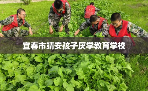 宜春市靖安孩子厌学教育学校 宜春市靖安孩子厌学教育学校