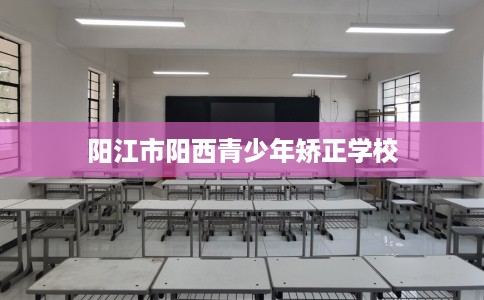 阳江市阳西青少年矫正学校