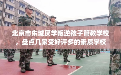 北京市东城厌学叛逆孩子管教学校，盘点几家受好评多的素质学校