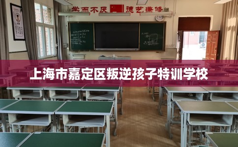 上海市嘉定区叛逆孩子特训学校