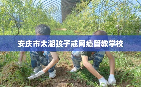 安庆市太湖孩子戒网瘾管教学校