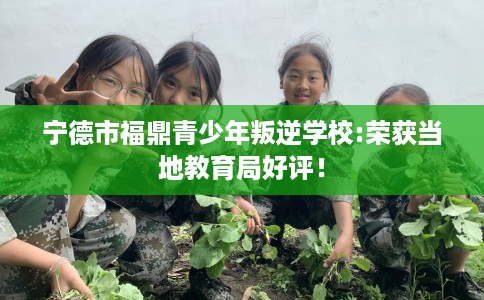 宁德市福鼎青少年叛逆学校:荣获当地教育局好评！