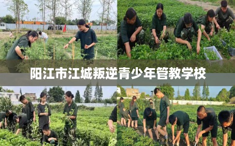 阳江市江城叛逆青少年管教学校