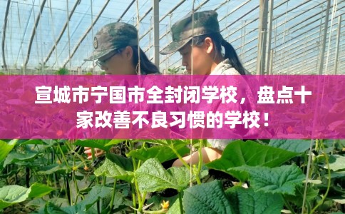 宣城市宁国市全封闭学校，盘点十家改善不良习惯的学校！