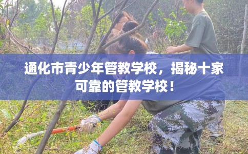 通化市青少年管教学校，揭秘十家可靠的管教学校！