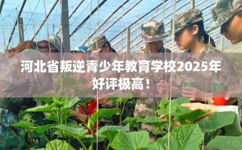 河北省叛逆青少年教育学校2025年好评极高！