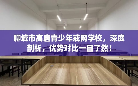 聊城市高唐青少年戒网学校，深度剖析，优势对比一目了然！