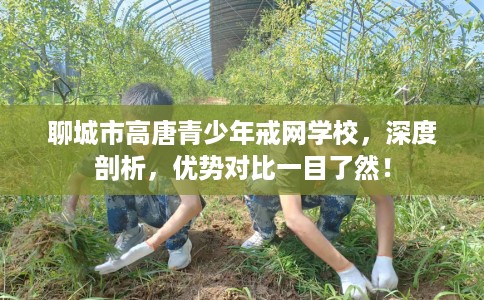 聊城市高唐青少年戒网学校，深度剖析，优势对比一目了然！