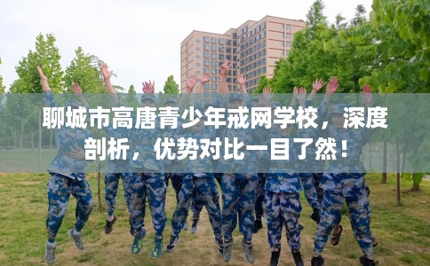 聊城市高唐青少年戒网学校，深度剖析，优势对比一目了然！