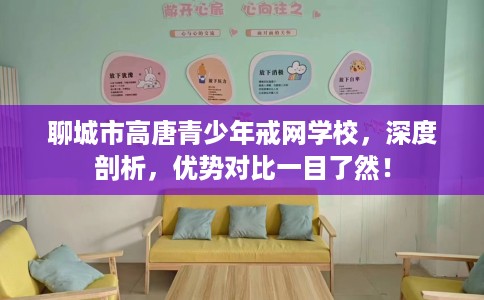 聊城市高唐青少年戒网学校，深度剖析，优势对比一目了然！