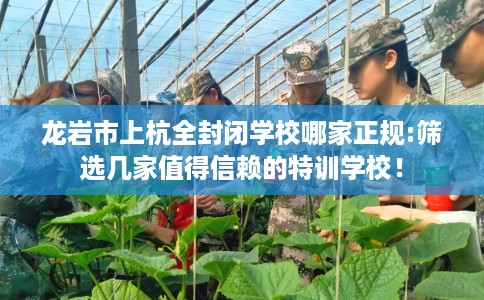 龙岩市上杭全封闭学校哪家正规:筛选几家值得信赖的特训学校! 龙岩市上杭全封闭学校哪家正规:筛选几家值得信赖的特训学校!