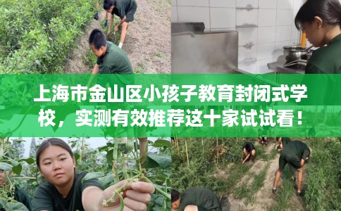 上海市金山区小孩子教育封闭式学校，实测有效推荐这十家试试看！