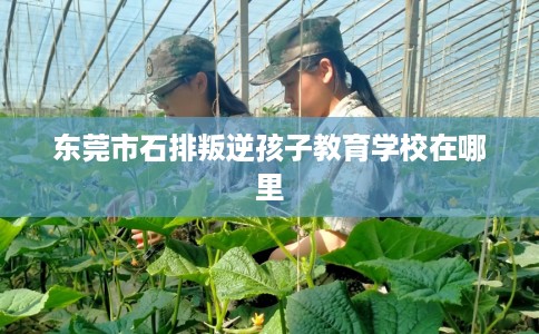 东莞市石排叛逆孩子教育学校在哪里