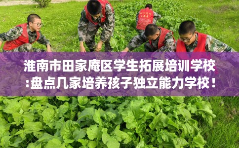 淮南市田家庵区学生拓展培训学校:盘点几家培养孩子独立能力学校！