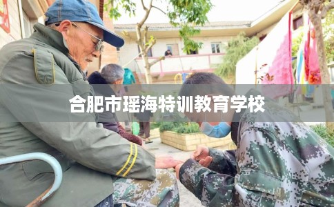 合肥市瑶海特训教育学校 合肥市瑶海特训教育学校