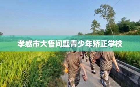 孝感市大悟问题青少年矫正学校