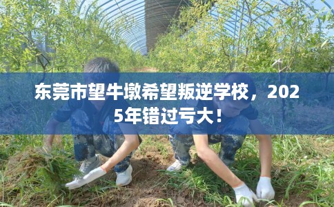 东莞市望牛墩希望叛逆学校，2025年错过亏大！