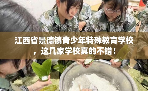 江西省景德镇青少年特殊教育学校，这几家学校真的不错！