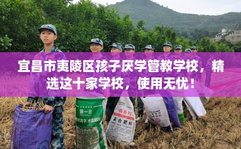 宜昌市夷陵区孩子厌学管教学校，精选这十家学校，使用无忧！