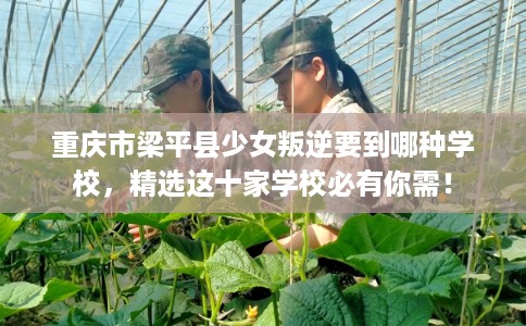 重庆市梁平县少女叛逆要到哪种学校，精选这十家学校必有你需！