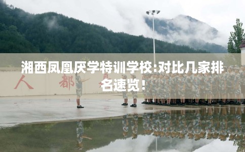 湘西凤凰厌学特训学校:对比几家排名速览！