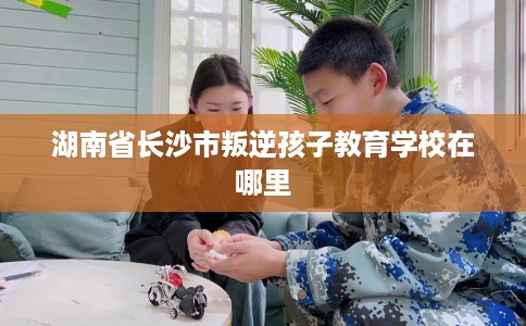 湖南省长沙市叛逆孩子教育学校在哪里