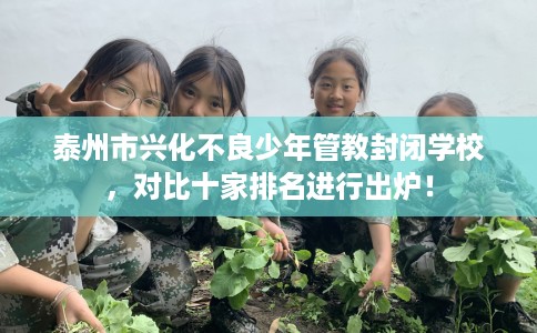 泰州市兴化不良少年管教封闭学校，对比十家排名进行出炉！