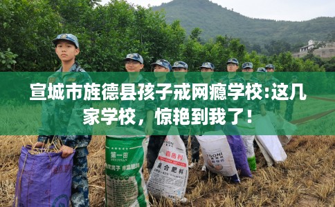 宣城市旌德县孩子戒网瘾学校:这几家学校，惊艳到我了！