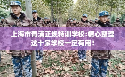 上海市青浦正规特训学校:精心整理这十家学校一定有用！