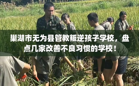 巢湖市无为县管教叛逆孩子学校,盘点几家改善不良习惯的学校! 巢湖市无为县管教叛逆孩子学校,盘点几家改善不良习惯的学校!
